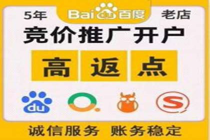 竞价排名成功案例：如何提升品牌知名度
